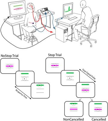 Slower Is Higher: Threshold Modulation of Cortical Activity in Voluntary Control of Breathing Initiation